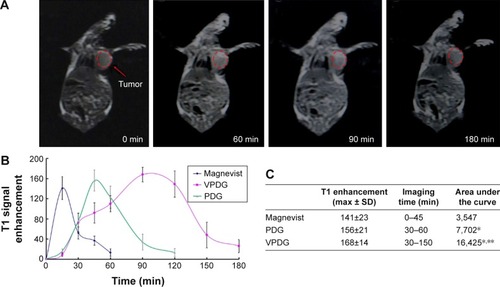 Figure 6 (A) The MRI maps of VPDG (0 min, 60 min, 90 min, 180 min) after injection in the H22 tumor-bearing mice at different time points. (B) The results of the enhanced signal of VPDG, PDG, and Magnevist® in tumor tissue in vivo (n=3). (C) The main parameters of VPDG, PDG, and Magnevist in MRI diagnosis. *P<0.01, compared with Magnevist, **P<0.01, compared with PDG.Note: The red circles represent the region of interest to calculate the MRI intensity.Abbreviations: Gd, gadolinium; max, maximum; min, minutes; MRI, magnetic resonance imaging; PDG, poly (l-lysine)-diethylene triamine pentacetate acid-Gd; T1, longitudinal relaxation time; VPDG, vascular endothelial growth factor receptor-targeted poly (l-lysine)-diethylene triamine pentacetate acid-Gd.