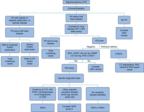 Figure 1 Diagnostic approach to pulmonary hypertension.