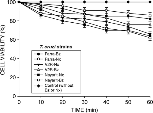 Figure 2 Trypanocidal effect of Benznidazole (Bz) and Nifurtimox (Nx) on cultured epimastigotes of different T. cruzi strains. Control (without Bz or Nx). Drug concentration was 0.1 mM. Final concentration of epimastigotes was 1 × 106/ mL. Cell viability was determined every 10 min during 1 h, according to Barr et al. [Citation11]. Compostela and Miguz strains were resistant to the treatment with Nx and Bz.