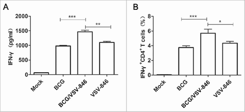 Figure 2. Increased cellular immune responses by VSV-846 boosting. The splenocytes of immunized mice (n = 6 per group) were isolated at week 18. (A) Antigen-specific IFN-γ concentration in cell culture medium was measured by ELISA; and (B) the proportion-specific IFN-γ+ CD4+ T cells in splenocytes were quantified by flow cytometry. The results were expressed as the mean ± SD from three independent experiments. #P < 0.05, ##P < 0.01, ###P < 0.001.