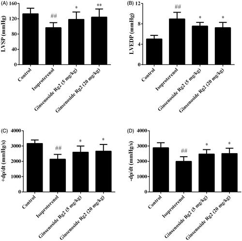 Figure 3. Effect of ginsenoside Rg2 on cardiac function in myocardial ischaemic rats. Data are presented as the mean ± SD (n = 8). ##p < 0.01 compared with control group; *p < 0.05, **p < 0.01 compared with isoproterenol group.