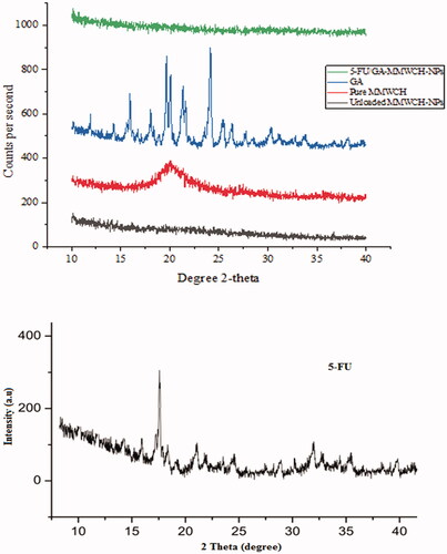 Figure 4. (A–E) PXRD of 5-FU/GA-MMWCH-NPs, GA, pure MMWCH, unloaded MMWCH-NPs, and PXRD diffractogram of pure 5-FU.