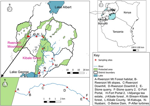Figure 1. A map of East Africa (right), expanded (left) is part of western Uganda showing the districts, lakes and protected area in the study area where the river Mpanga passes and sampled points (QGIS version 2.6.1-1).
