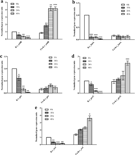 Figure 6. Expression levels of the oxidative stress-related genes sodB (a), katA (b), gor (c), grxC (d) and zwf (e) from K. vulgare 25B-1 in mono- and co-cultures.
