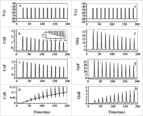 Figure 7. Pulse train fluxes. The left panel(A-D) corresponds to the fluxes of closed-state inactivation(CSI) and the right panel(E-H) corresponds to the open-state inactivation(OSI) path. In (A) and (E) the selected first 200ms pulses of Figure 6A has been plotted. In (B) and (F) net CSI and net OSI has been plotted respectively. In (C) and (G) forward flux(CsF) of CSI path and forward flux(OsF) of OSI path are plotted respectively. In (D) and (H) backward flux(CsB) of CSI path and backward flux(OsB) of OSI path are plotted, respectively. The inset figure of (B) shows the gradual increase of negativity of CSI during base pulses.