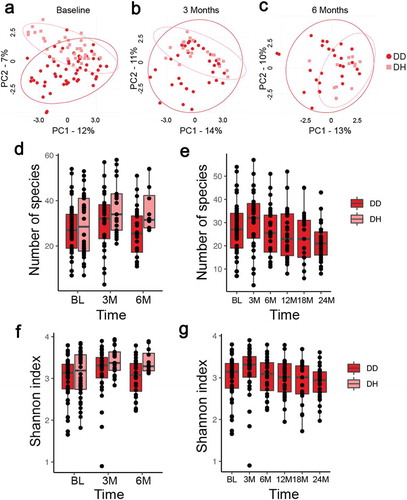 Figure 2. Bacterial diversity of DD and DH sites before and after treatment of C/MIP patients. (a) Principal coordinates analysis (PCoA) shows separation between clusters at baseline DD and DH sites is more profound than after treatment (P < 0.001). (b) PCoA of samples 3 months after treatment shows substantial overlap in bacterial profiles of DD and DH sites, but DH sites cluster more tightly (P < 0.05). (c) PCoA of samples 6 months after treatment shows substantial overlap in bacterial profiles of DD and DH sites, but DH sites cluster more tightly (P < 0.05). DD – red circles, DH – pink squares, and ellipses show 95% confidence intervals. (d) The number of species detected in DD sites at BL, 3, and 6 months after treatment is lower than in DH sites, but not significantly different. (e) The number of species detected in DD sites rises 3 months after treatment but falls at 6–24 months, but no differences are significant. (f) Shannon diversity in DD site samples at BL, 3 M, and 6 M is lower than DH sites, but not significantly different. (g) Shannon diversity increases in DD samples 3 months after treatment and then fall at 6–24 months after treatment, but no differences are significant. DD – diseased sites in C/MIP; DH – healthy sites in C/MIP.