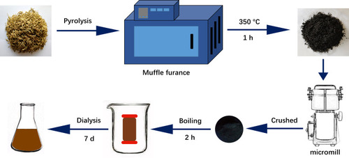 Figure 1 Flowchart for the preparation of Lonicerae japonicae Flos carbonisata-derived carbon dots (LJFC-CDs).