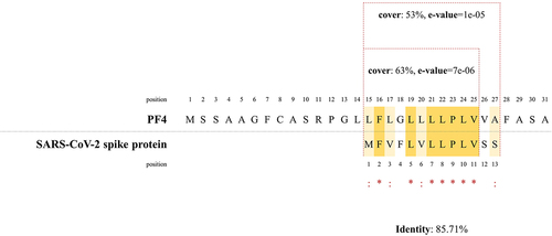 Figure 1. Sequence alignment of the signaling peptides of Platelet Factor 4 (PF4) and Severe Acute Respiratory Syndrome Coronavirus 2 (SARS-CoV-2) spike protein antigen. MFVFLVLLPLVS was the only significant sequence identified after pairwise sequence similarity searching between the PF4 (UniProt accession number: P02776) and all known proteins contained in or encoded Vaxzevria (AstraZeneca) vaccine represented by unique accession numbers in the UniProt database on December 22nd, 2021 [proteins from chimpanzee adenovirus Y25 (UniProt accession numbers: G9G840–9, G9G850–9, G9G860–9, and G8G870), proteins from human adenovirus 26 (UniProt accession numbers: A4ZKK7–9, A4ZKL0–9, A4ZKM0–1, A5×2P6, B2ZWZ4, B5MEQ4, C8Z266, E2CUU4, H9XUH0–2, H9XUI6, H9XUJ6, Q2Z0K1, Q3S8B3, Q49QU7, Q4EW99, Q5ICR7, Q64LE9, Q67759, Q76I59, and Q9QB27) and the spike protein antigen of the SARS-CoV-2 (UniProt accession number: P0DTC2)].
