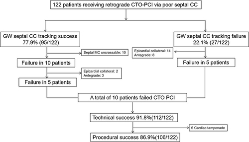 Figure 1 Clinical management of the procedure.