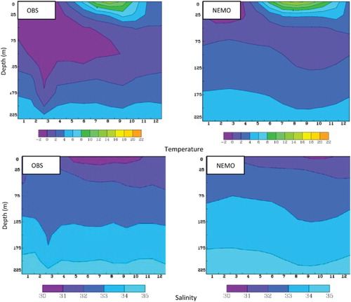 Fig. 7 Time series over the annual cycle, for water temperature (°C; upper panels) and salinity (lower panels) at (60.6333°W, 48.48333°N) comparing observations (left panels) and simulation results (right panels). Numbers on the x-axes indicate months of the year. The location is indicated in Fig. 1.