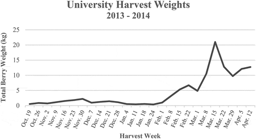 Figure 1. Total weekly marketable strawberry weight for all cultivars evaluated at the University location. There were 240 plants total in this experiment