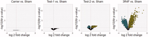 Figure 2. Volcano plots representing the differentially expressed genes in the lung. For each gene, the alteration in gene expression, calculated as the log2 fold-change, and plotted on the x-axis. The statistical significance (false discovery rate [fdr] < 0.05), proportional to the negative log10-adjusted p value, is plotted on the y-axis. Dots highlight genes that are statistically significantly up- and down-regulated (right and left quadrants, respectively) compared with sham.