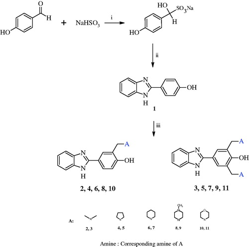 Scheme 1. Synthesis method of mono and bis Mannich bases.