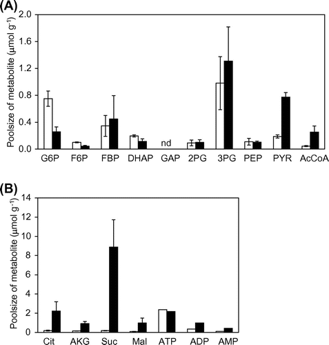 Fig. 5. Concentrations of intracellular metabolite in the TCA cycle at the stationary phase in DPA-producing B. subtilis.Notes: Intracellular pool sizes of metabolites in glycolysis (A) and the TCA cycle (B) are shown. Open and closed bars represent the intracellular pool sizes in OA105-DPA and OA105ΔalsSD-DPA, respectively. The average ± standard deviation of triplicate cultures is shown. nd. denotes not detected.