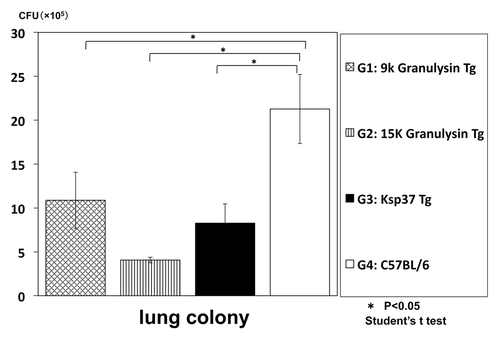 Figure 9. In vivo anti-TB effect of Ksp37 transgenic mice. Ksp37 Tg mice were established as described in Materials and Methods. Ksp37 Tg mice, 15K granulysin Tg mice, 9K graunlysin Tg mice and wild type C57BL/6 mice were infected with H37Rv TB by using intratracheal aerosol challenge using aerosol chamber.