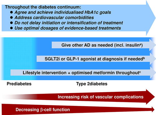 Figure 2 Schematic representation of key goals in managing the diabetes continuum.