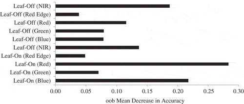 Figure 4. Relative importance of predictor variables for leaf-on and leaf-off RapidEye bands as estimated by the oob mean decrease in accuracy by RF.