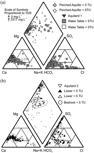 Figure 5. Piper diagram displaying trends in major ion geochemistry within Waterloo Moraine aquifers. (a) Fluids from the perched and water table aquifers; (b) fluids from the lower and bedrock aquifers. In (b), results from wells located in the Greenbrook well field are circled in grey dashed and solid lines (adapted from Stotler et al. Citation2011, with permission).