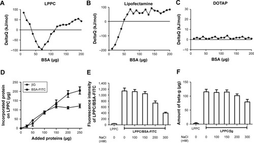 Figure 2 Binding capacity and stability of proteins bound on LPPC.Notes: (A–C) Protein adsorptions to (A) LPPC, (B) lipofectamine and (C) DOTAP were determined by ITC. Protein–LPPC interactions are indicated by increased ∆Q along with increased amounts of proteins. (D) Increasing amounts of BSA-FITC and βG were added to LPPC (40 µg), and the adsorbed proteins on LPPC were quantified by the Bradford assay. The data showed that LPPC adsorbed ~213 µg or more BSA-FITC and 120 µg of βG. (E) Stability of LPPC/BSA-FITC and (F) LPPC/βG complexes in various NaCl solutions. Spectrofluorometry was utilized to calculate the amount of dissociated BSA-FITC, while a Bradford assay was used to determine the amount of dissociated βG. Representative data are shown as the mean ± SD of three independent experiments.Abbreviations: βG, β-glucuronidase; DOTAP, 1,2-dioleoyl-3-trimethylammonium-propane; FITC, fluorescein isothiocyanate; ITC, isothermal titration calorimetry; LPPC, liposomes containing polyethylenimine and polyethylene glycol.