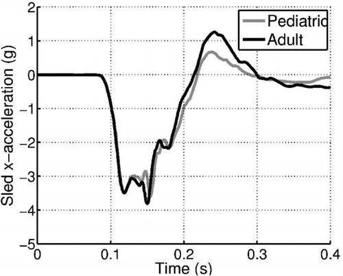 Fig. 3 Pediatric and adult mean volunteer low-speed frontal impact test with peak sled accelerations of 3.6 and 3.8 g used to validate the pediatric and adult head and neck computer models (Arbogast et al. Citation2009).