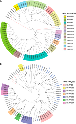 Fig. 1 Human adenovirus whole-genome phylogenetic trees for (a) HAdV-A through C and (b) HAdV-D complete genomic sequencesTwo trees are presented in order to display the larger number of species D clearly. Representatives of species E, F, and G are presented for reference. Trees were constructed using the maximum-parsimony analysis, following alignment using the ClustalW tool in the Molecular Evolutionary Genetic Analysis version 6 software package (MEGA6; www.megasoftware.net/), with a bootstrap test of 1000 replicates and default parameters and Tree-Bisection-Reconnection (TBR) method. Each clade is highlighted according to specific HAdV species using a color code as shown. Novel sequences are shown in blue and displayed as GenBank accession numbers (acc. nos.). Bootstrap values are displayed on the branches and nodes for different HAdV species used for references are shown in red