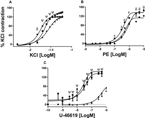 Figure 2 Concentration–response curves to KCl (A), PE (B) and U-46619 (C). YO (●, 4 animals, 8 rings), AD (■, 4,8) and OL (▲, 4,8). δ indicates a higher sensitivity to KCl and lower Emax to PE in YO arteries, compared to AD and OL. ψ indicates a higher sensitivity to KCl and to U-46619, and a higher Emax to U-46619, in YO and AD arteries compared with OL. In panel B, ε indicates a higher sensitivity to PE in AD, compared to YO and OL. pD2 and Emax values in all conditions can be seen in Table 1. Significance level of P<0.05.