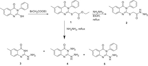 Scheme 1. Synthesis of 2-hydrazinyl-6-methyl-3-phenyl-quinazolin-4(3H)-one (5) as a key intermediate.