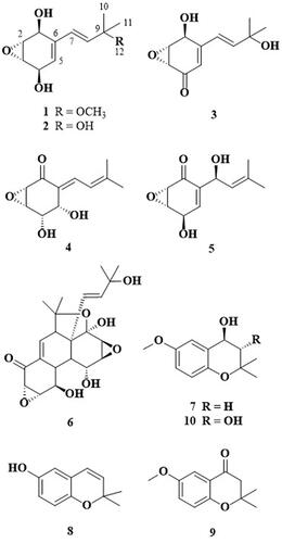 Figure 1. Structures of compounds 1-10, isolated from the culture broth of Panus rudis.