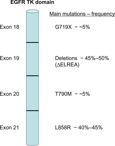 Figure 1 Frequency of main epidermal growth factor receptor (EGFR) mutations in non-small-cell lung cancer.