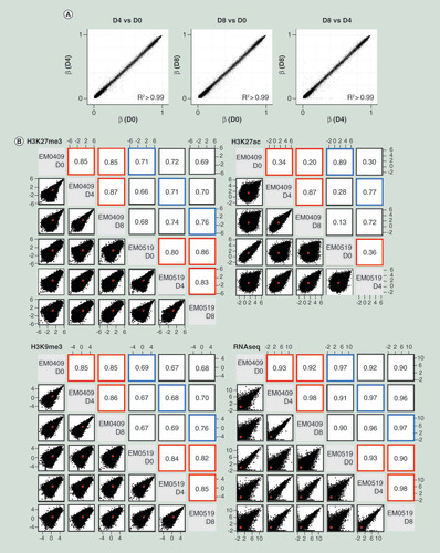 Figure 2.  Evaluation of correlation of transcriptome and epigenome profiles between two donors and between endometrial stromal cells and decidualized cells. (A) Comparisons of genome-wide DNA methylation profiles among D0, D4 and D8 cells from the EM0409 donor. (B) Scatter plots and Pearson correlation coefficients for genome-wide histone modification profiles (H3K27me3, H3K27ac, and H3K9me3) and transcriptome (RNA-seq) profiles. Comparisons were made for all possible pairwise combination among five (H3K27ac) or six samples. Normalized mapped read counts per 1000-bp window for H3K9me3 and H3K27me3, normalized mapped read counts per peak for H3K27ac, and FPKM values for RNA-seq were plotted and assessed for their correlation using the pairs.panels function in the psych package of R. The correlation ellipse is shown in red in each plot. Correlation coefficients from the comparison of the same cell type between donors are boxed in blue, those from the comparison of different cell types (D0, D4 or D8) derived from the same donor are boxed in red.