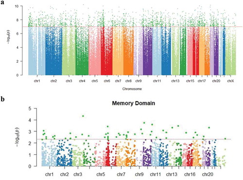 Figure 1. (a). Manhattan plot showing P values for changes in methylation at the individual CpG positions from baseline to one year after the initiation of chemotherapy. The Y axis shows log transformed P values. The X axis shows the chromosomal location of the 485,512 CpG positions evaluated. The dotted horizontal line indicates the threshold for significance (P = 1.03 × 10−7). (b). Manhattan plot for P values for associations between CpG methylation ratio differences and memory domain score. The Y axis shows log transformed P values. The X axis shows the chromosomal location of the 2,199 positions with significant differences in methylation ratios from baseline to 1 year post chemotherapy induction. The dotted horizontal line indicates the threshold for significance (P = 4.91 × 10−3) in associations between memory domain scores and methylation ratio differences, with these 56 CpG sites being highlighted in dark green.