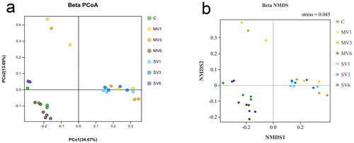 Figure 3. The sample taxonomic analysis revealed the microbial community ranking map of 16S rDNA bacteria: a scatter plot and PCoA ranking based on phylogenetic distance (PCoA1 vs. PCoA2) (a). UniFrac unweighted non-metric multidimensional scale-metric multidimensional scaling (NMDS) (b).
