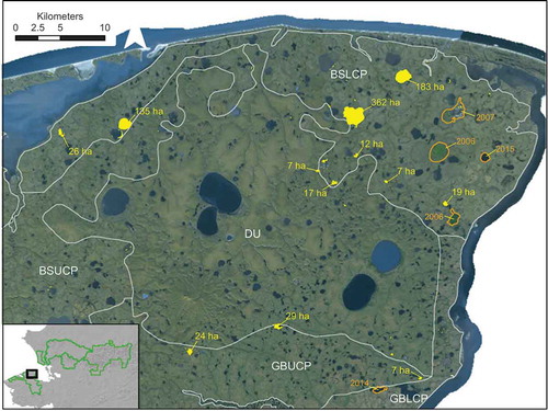 Figure 9. Lake loss in northeastern BELA. Areas that lost water between 2017 and 2018 are shaded in yellow, and those more than 5 ha in area are labeled in yellow with area lost, in hectares. Pre-2017 lake losses are outlined and labeled with the year in orange. The white lines outline ecological subsections (Jorgenson Citation2001) used as analysis areas: BSLCP, Bering Straits Lower Coastal Plain; BSUCP, Bering Straits Upper Coastal Plain; DU, Devil Uplands; GBLCP, Goodhope Bay Lower Coastal Plain; GBUCP, Goodhope Bay Upper Coastal Plain. The background image is from 2010 (Alaska Geospatial Council Citation2011).