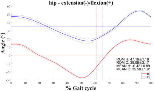 Figure 1. Left hip flexion-extension.