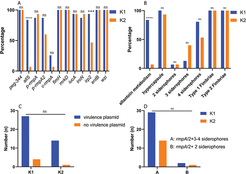 Figure 3 The traits of K1 and K2 K. pneumoniae strains from PLA. (A) Prevalence of twelve virulence genes; (B) Prevalence of virulence factors; (C) Prevalence of virulence plasmid; (D) Prevalence of rmpA/2+3-4 siderophores and rmpA/2+2 siderophores. ***:p < 0.001; ****:p < 0.0001; ns: not significant; PLA: pyogenic liver abscess; non-PLA: non-pyogenic liver abscess. The corresponding virulence genes were allS, rmpA/2, iucA/iroN/irp2/entB, fimH, and mrkD, respectively, for predicted virulence factors allantoin metabolism, hypercapsule, siderophore, Types 1 and 3 fimbriae. Genes p-rmpA and p-rmpA2 were used to predict a virulence plasmid.