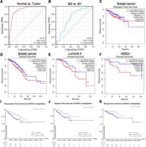 Figure 5 Diagnostic value of the expression and the survival analysis of AP1S1 in breast cancer. (A) ROC curve for differentiating normal people and breast cancer patients. (B) ROC curve for differentiating M0 and M1 stage patients. (C) Disease free survival plot of breast cancer patients that grouped by AP1S1 expression level. (D) Overall survival plot of breast cancer patients that grouped by AP1S1 expression level. (E and F) Overall survival plots of luminal A (E) and HER2+ (F) subtypes breast cancer subgroup patients. (I–K) Progression free interval, disease free interval and disease free survival plots of breast cancer patients that grouped by AP1S1 methylation level from UCSC Xena.