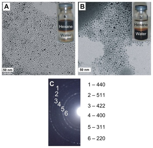 Figure 3 Transmission electron microscopy (TEM) images of synthesized 6 nm SPIONs (A) and PEG-PCL-SPIONs (B). The insert (a) shows the synthesized SPIONs were soluble in hexane, and PEG-PCL-SPIONs were easily dispersed in water (b). The selected area electron diffraction (SAED) pattern of 6-nm Fe3O4 nanoparticles is shown in (C).Abbreviation: PEG-PCL-SPIONs, poly(ethylene glycol)-poly(ɛ-caprolactone) superparamagnetic iron oxide nanoparticles.