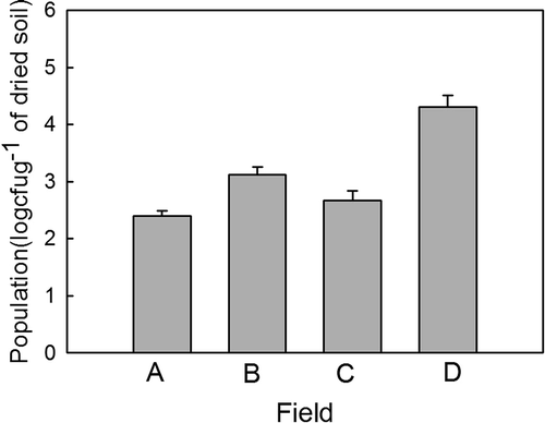Fig. 2. Populations of Mycosphaerella pinodes in soils of four fields (A, B, C and D) naturally infested with the pathogen in Hsinyi county, Taichung, Taiwan. Mycosphaerella pinodes was isolated using the starch–casein (SC) semiselective medium. Error bars are standard deviations.