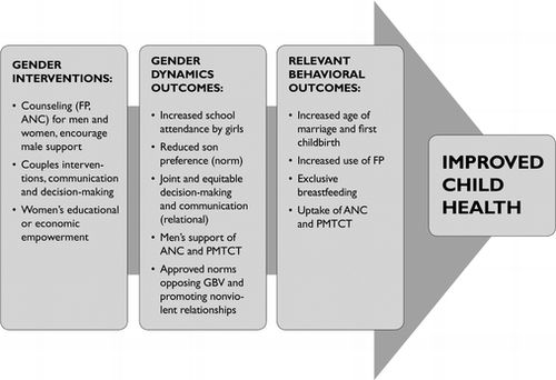 Figure 2 Conceptual model: Gender-integrated interventions to improve child health.