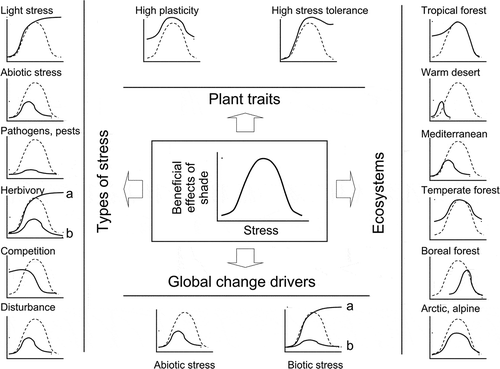 Figure 3. Understorey life (shade sensu lato) can be advantageous for plants when compared to life in the open. We suggest that how these beneficial effects of shade vary with stress can be represented by a Gaussian bell, with an intermediate range of stress intensity for which understorey life is clearly advantageous. In general, the advantages of living in the shade would be reduced at either low or high levels of stress because environmental conditions cannot be ameliorated by a canopy at the ends of the stress gradient, either because there is no condition to be enhanced with respect to the open when stress is low or because stress is exacerbated by limiting light when the former is very intense. But, the net balance of advantages and disadvantages, and thus the shape of this beneficial effect of the shade vs. stress intensity curve, varies depending on the type of stress, the traits of the target plant and the overall conditions of the ecosystem (compare continuous lines with dashed lines representing the general model in each graph). While phenotypic plasticity and stress tolerance of the target plant tend to increase the potential benefits of living in the shade, most stresses tend to decrease them. However, high light stress makes the shade increasingly beneficial at increasing stress till benefits reach a species-specific plateau, and competition-induced stress makes the shade beneficial only at low levels of stress. Shade becomes relatively more beneficial at low levels of stress in dry and hot ecosystems, but more beneficial at high levels of stress in boreal forests due to the nature of the predominant stress in each ecosystem, i.e. drought vs. freezing temperatures respectively. Stresses induced by the many drivers of global change also affect the beneficial effects of the shade vs. stress intensity curve. Shade can be increasingly beneficial with increasing herbivory if the canopy is effective in keeping away the herbivores (a, central graph at the left hand side column of graphs) or it can be disadvantageous if herbivores are more active or in greater number in the shade (b). Analogously, the stress induced by invasive species can make the shade increasingly beneficial if invasive species prefer high light habitats (a, graph at the right in the lower row of graphs) or it can make it disadvantageous over most of the stress range if invasive species prefer understorey habitats (b).