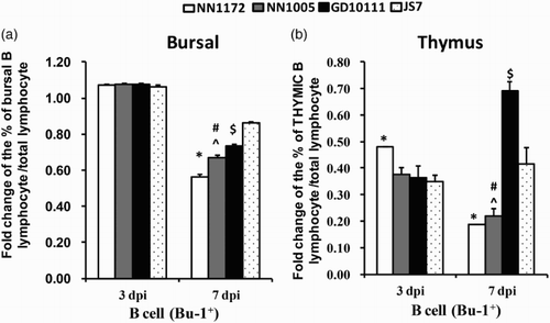 Figure 2. Viral load by quantitative RT-PCR. (a) Bursa samples; (b) thymus samples. Data are expressed mean copy number  ±  SE (five chickens and above per group at each time point). *P  < 0.05 significant difference between NN1172-infected and other groups. #P  < 0.05 significant difference between NN1005- and GD10111-infected group, ^P  < 0.05 significant difference between NN1005- and JS7-infected group. $P  < 0.05 significant difference between GD10111- and JS7-infected group.