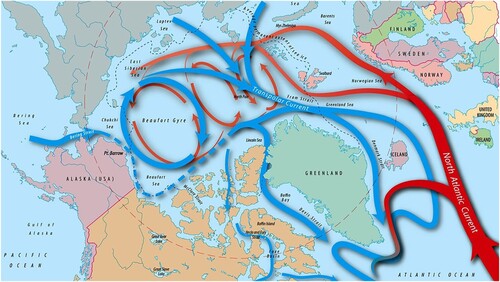 Figure 1. Schematic of the Arctic Ocean circulation (© Woods Hole Oceanographic Institution, J. Cook). Blue arrows indicate the surface circulation (the Beaufort Gyre and the Transpolar Drift current, with the main pathway of the Pacific Water dashed) and the pink-red arrows show the Atlantic Water circulation at intermediate depths – when the saltier Atlantic water reaches the Arctic, it sinks beneath the cool, fresh surface water. A halocline blocks the warmer Atlantic Water from direct contact with, and melting of, the overlying sea ice.