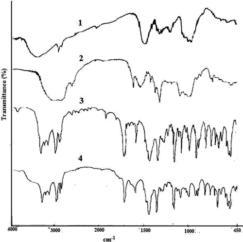 Figure 2.  FTIR spectra of sodium alginate (1), TSP (2), gliclazide loaded TSP-alginate microspheres (3), and gliclazide (4).