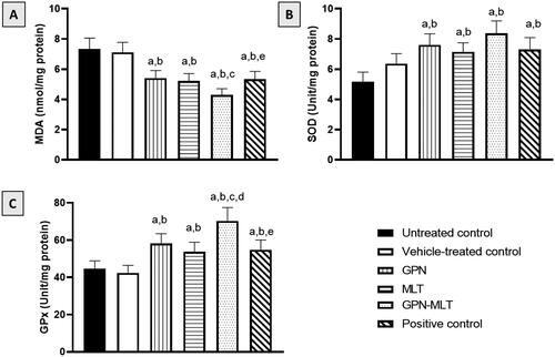 Figure 4. Effects of GPN, MLT, GPN-MLT nanocomplex and marketed formulation on the markers of antioxidant enzymes (A) MDA, (B) SOD, and (C) GPx. a: Significantly different from Untreated control at p < .05, b: Significantly different from Vehicle-treated control at p < .05, c: Significantly different from GPN at p < .05, d: Significantly different from MLT at p < .05, e: Significantly different from GPN-MLT at p < .05.