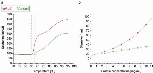 Figure 5. Colloidal stability of the drug products. (a) The aggregation temperature Tagg was determined simultaneously with the intrinsic fluorescence (IF) measurement by detection of dynamic light scattering (DLS). (b) DLS analysis unraveled an exponential increase of the mAb2 diameter within a protein concentration of 2–10 mg/ml, but a linear correlation in case of the in silico optimized variant.