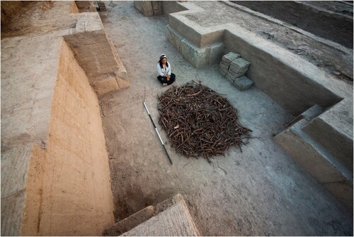 Figure 26. Büşra Hekimoğlu and a small collection of the deep roots of Syrian mesquite (Prosobis Farcta) cleaned from around the gate complex.