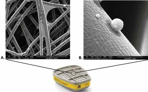 Figure 6. Micrograph of the polymeric fibrous material surrounding the activated carbon within the organic vapor/acid gas cartridge analyzed by SEM. (A) Detail of fibers with adhesion of aerodispersoids. (B) Detail of the fiber exerting electrostatic capture of an aerodispersoid with a diameter smaller than 5 µm.