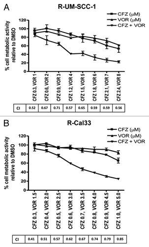 Figure 1. Carfilzomib and the HDAC inhibitor vorinostat act synergistically to induce cell death in proteasome inhibitor-resistant HNSCC cell lines. Triplicate wells of R-UMSCC-1 (A) and R-Cal33 (B) cells were treated for 48 h with carfilzomib (CFZ) or vorinostat (VOR) alone, or with fixed ratios of the CFZ/VOR combination, followed by performance of MTT assays. Combination indexes (CI) were calculated according to the method of Chou and Talalay.Citation47 Error bars represent standard deviations. Representative data from 3 independent experiments is shown.