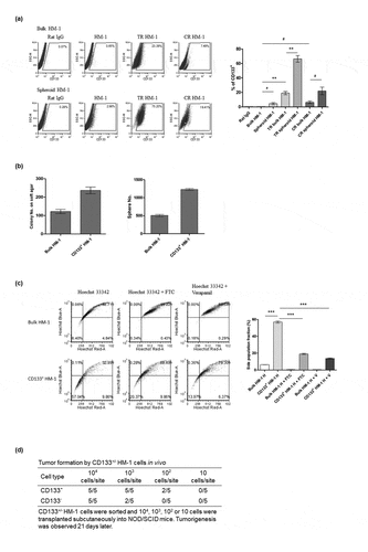 Figure 2. Identification and characterization of cancer stem-like cells from a murine ovarian cancer cell line, HM-1. (a) Representative flow data and statistical bars show that CD133+ cells were enriched by either cisplatin (CR bulk HM-1) or taxol (TR bulk HM-1) (p < .05 and p < .001, in taxol- and cisplatin-containing culture) or further spheroid culture (p < .001, p < .05, Taxol-containing culture, TR bulk HM-1 vs TR spheroid HM-1 or cisplatin-containing culture, CR bulk HM-1 vs CR spheroid HM-1). (b) Comparing to bulk HM-1 cells, CD133+ HM-1 cells exhibited substantially higher tumorigenic ability, indicated by both clonogenic assay and sphere-forming assay (p < .01 and p < .0001). (c) Representative data in Hoechst 33342 staining disclose significantly higher SP fraction in CD133+ HM-1 cells than in bulk cells (p < .0001, bulk HM-1 H vs CD133+HM-1 H). This SP fraction was diminished in the presence of 10 mM FTC or verapamil (p < .0001, CD133+HM-1 H vs CD133+HM-1 H + FTC and CD133+HM-1 H + V). (d) CD133+ HM-1 cells exhibited stronger in vivo tumorigenesis by day 21, starting from both 102 and 103 cells. #p < .05, *p < .01, **p < .01, ***p < .001.