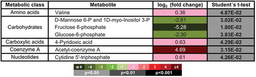 Figure 3. Metabolite profile of control (CTL) and macroH2A1 knockdown (KD) HepG2 cells obtained by UHPLC-MS. Significantly altered metabolites found in KD compared to CTL cells. Color codes for log2 (fold-change) and unpaired Student’s t-test P values are shown; n = 4.